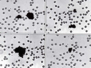 fig. 4      x . sopra
