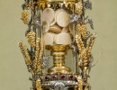 223 hosti siena
