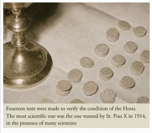 hosti-siena-1914-300-800-90